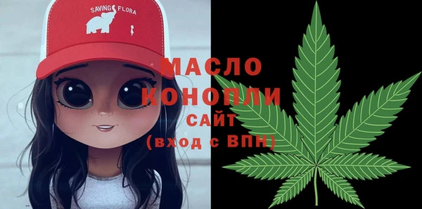 прущий лед Богданович
