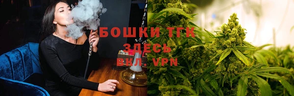 мдпв Богородск