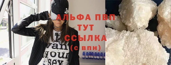 прущий лед Богданович