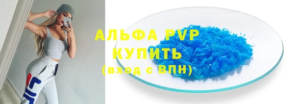 прущий лед Богданович