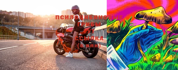 прущий лед Богданович