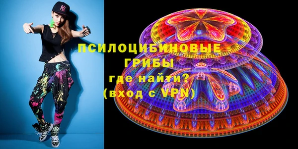 прущий лед Богданович