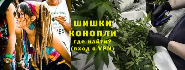 прущий лед Богданович